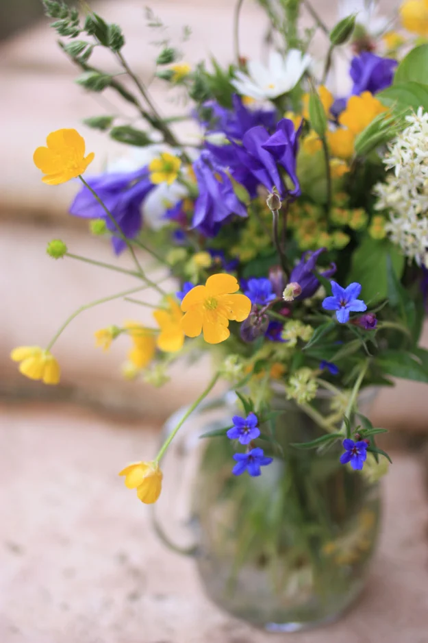 A lovely bouquet from the forest