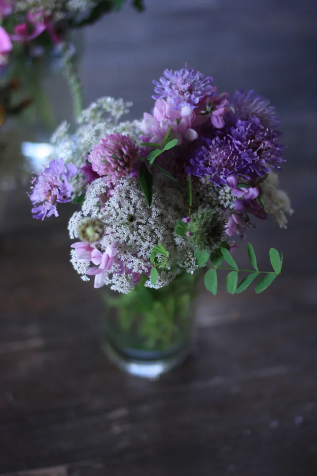 Wild Flowers from Umbria