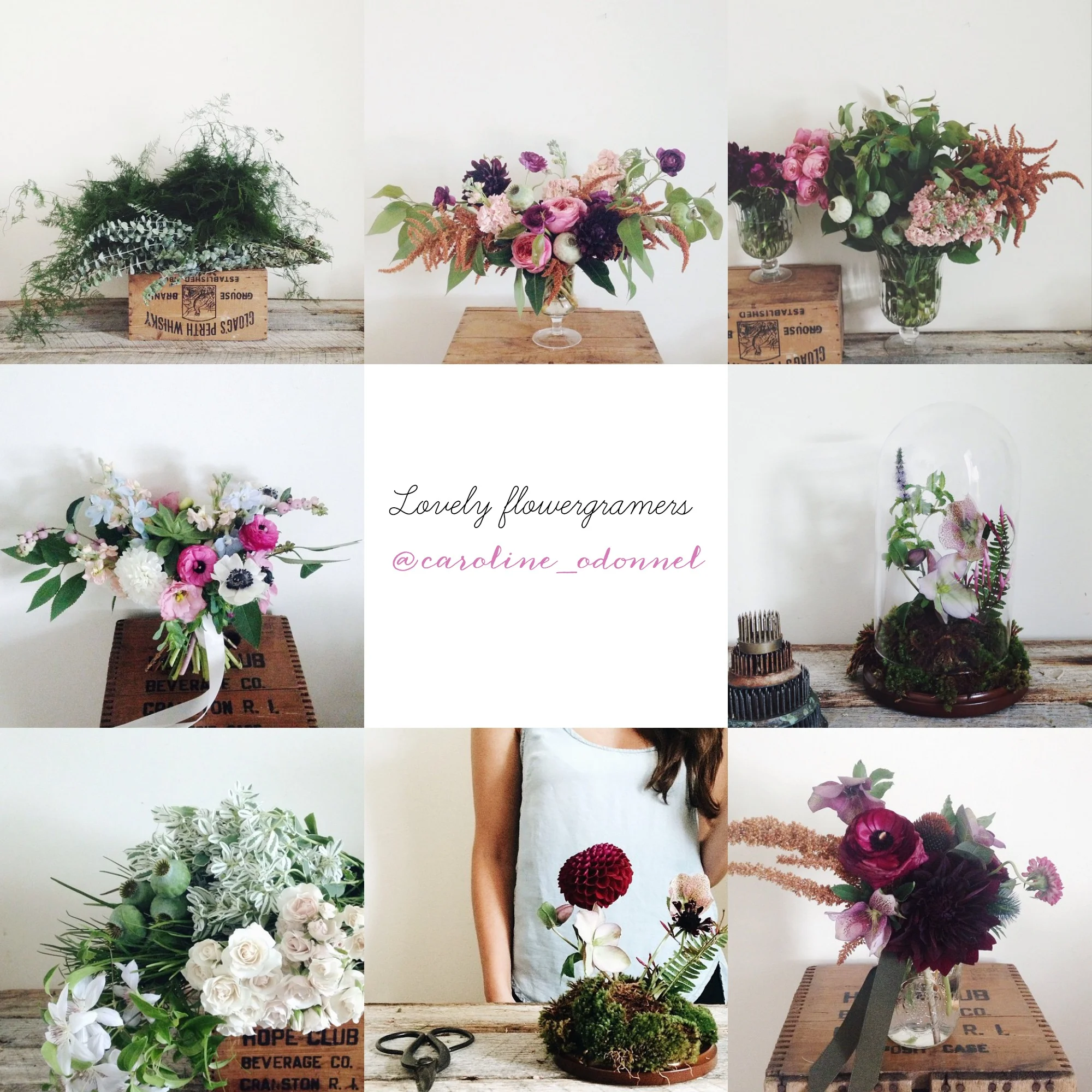 LOVEly flowergramers: @caroline_odonnell