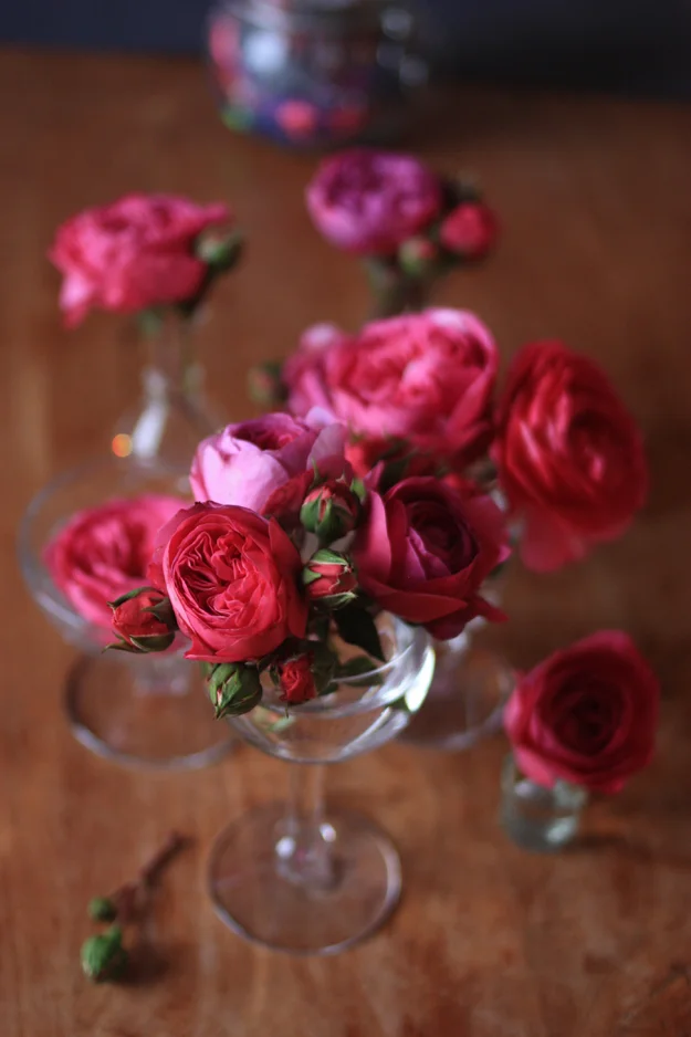 red garden roses