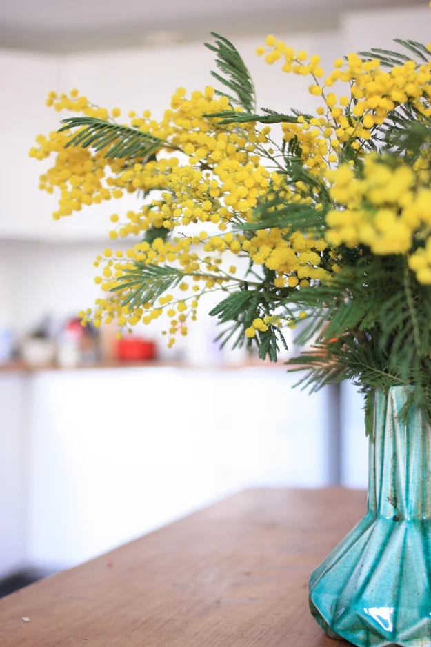 mimosa from the market