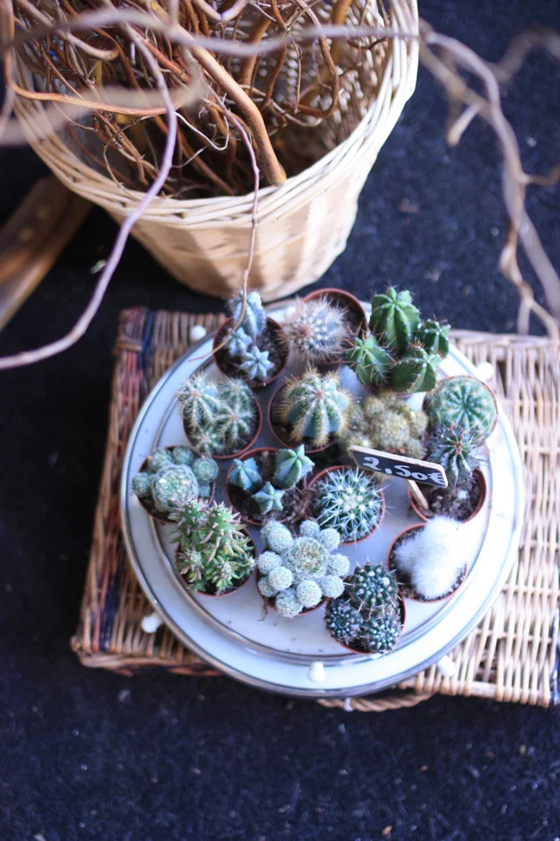 LOVEly flowershops: La Frénésie in Brussels