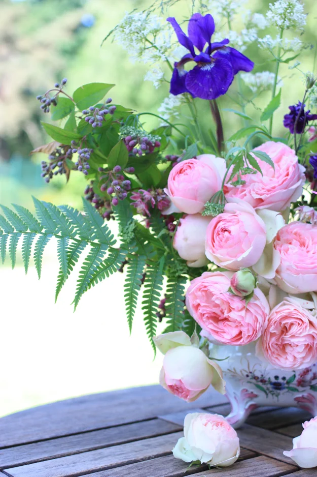 roses, irises and fern