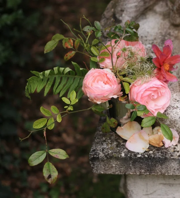 les herbes de Paris à la campagne