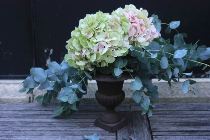 Hydrangea and eucalyptus in a medicis vase