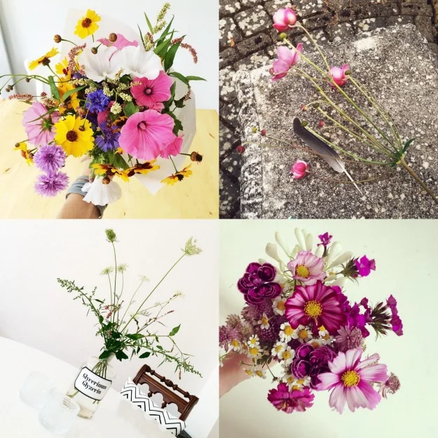 #flowersonmyway in August