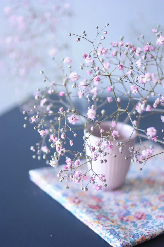 baby's breath for my baby's first birthday