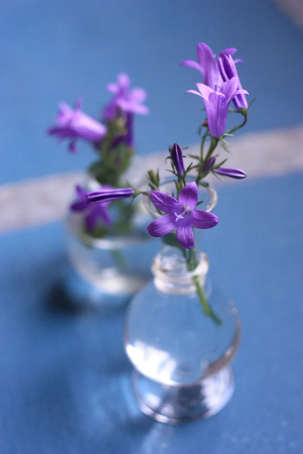 first bouquet from my garden