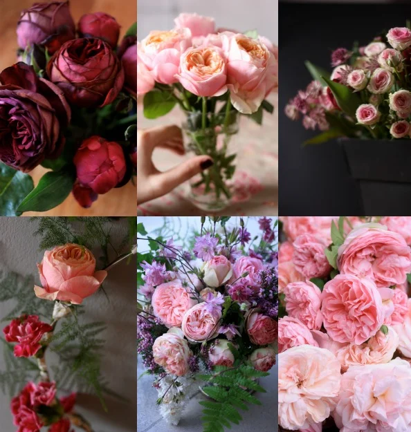 my year 2014 with flowers