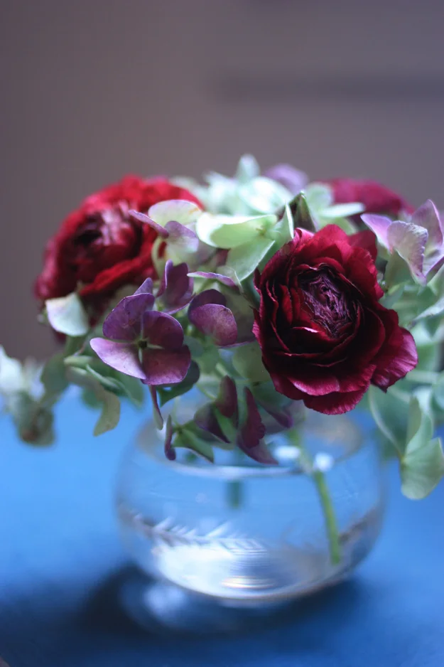 Ranunculus and hortensia