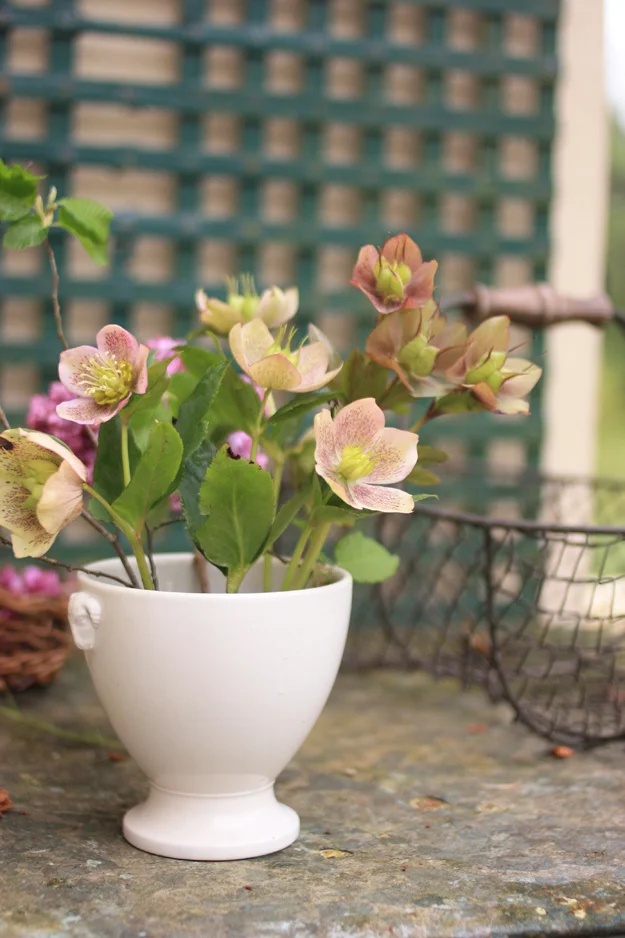 Lilac and hellebores - a pink bouquet