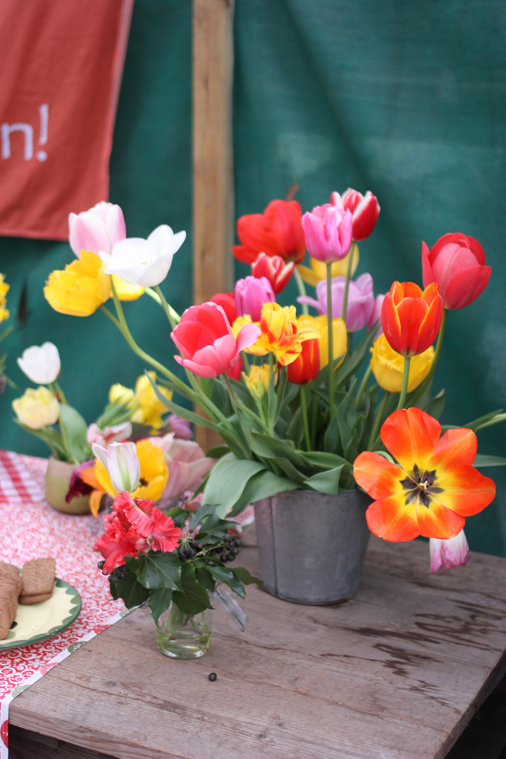 Keukenhof14_Annemiekes_Pluktuin_1.jpg