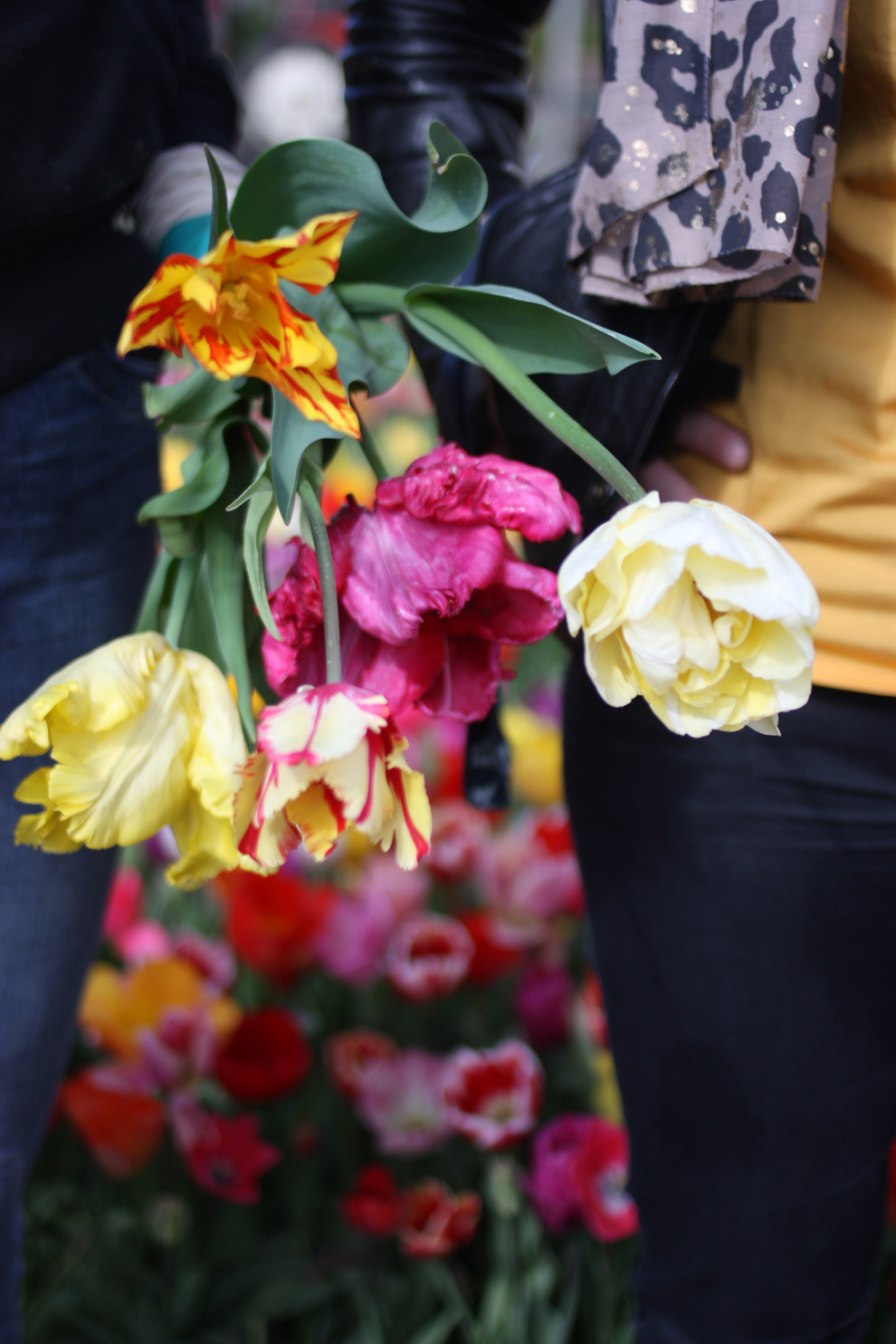 Keukenhof14_Annemiekes_Pluktuin_bouquet_in_hand.jpg