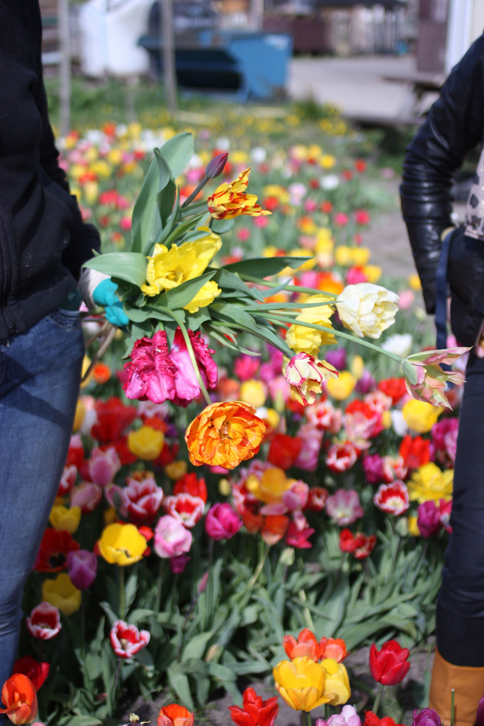 Keukenhof14_bouquet.jpg