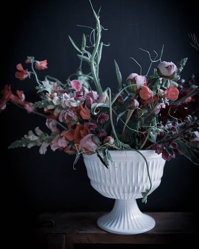 My flower extravaganza for today.
With very quiet and still closed peonies and crazy sweet peas and snap dragons.
. .
#faffingwithflowers #chiaroscuro #flowerstyling #floralphotography #floralart #floralartnow #botanicaldreamers #slowflowers #playing