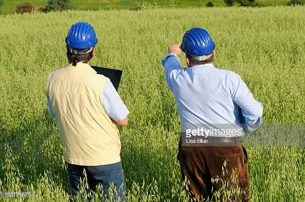 Photo by Lisa-Blue/iStock / Getty Images