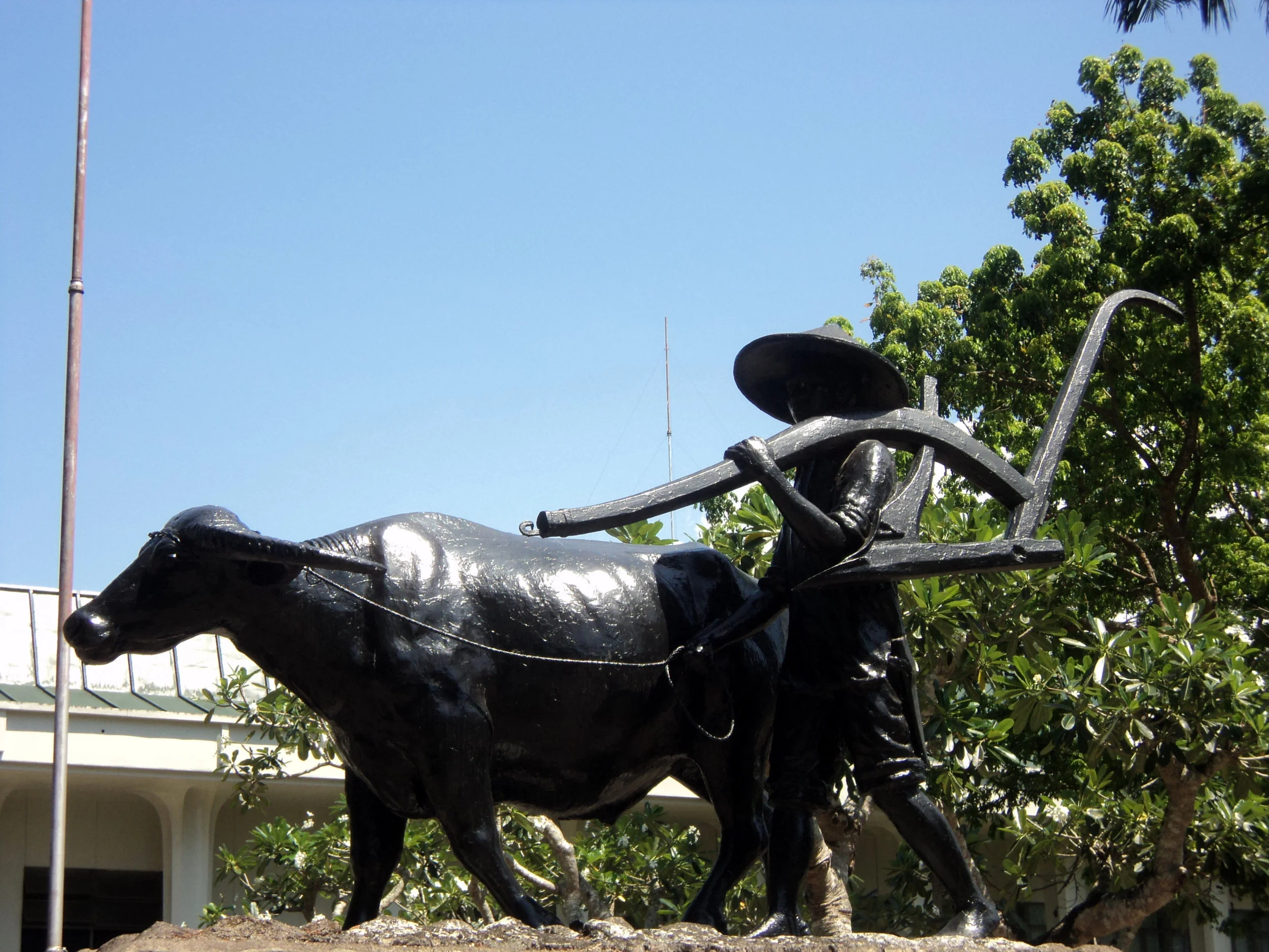 Wanted: Youth in Agriculture