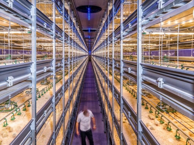 Source:https://www.nextbigfuture.com/2017/09/netherlands-is-world-number-two-in-agricultural-exports-by-using-greenhouses-and-new-technology.html