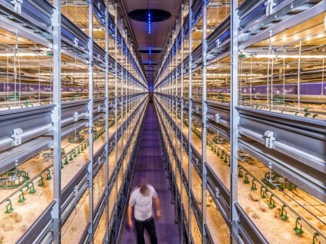 Source: https://www.nextbigfuture.com/2017/09/netherlands-is-world-number-two-in-agricultural-exports-by-using-greenhouses-and-new-technology.html