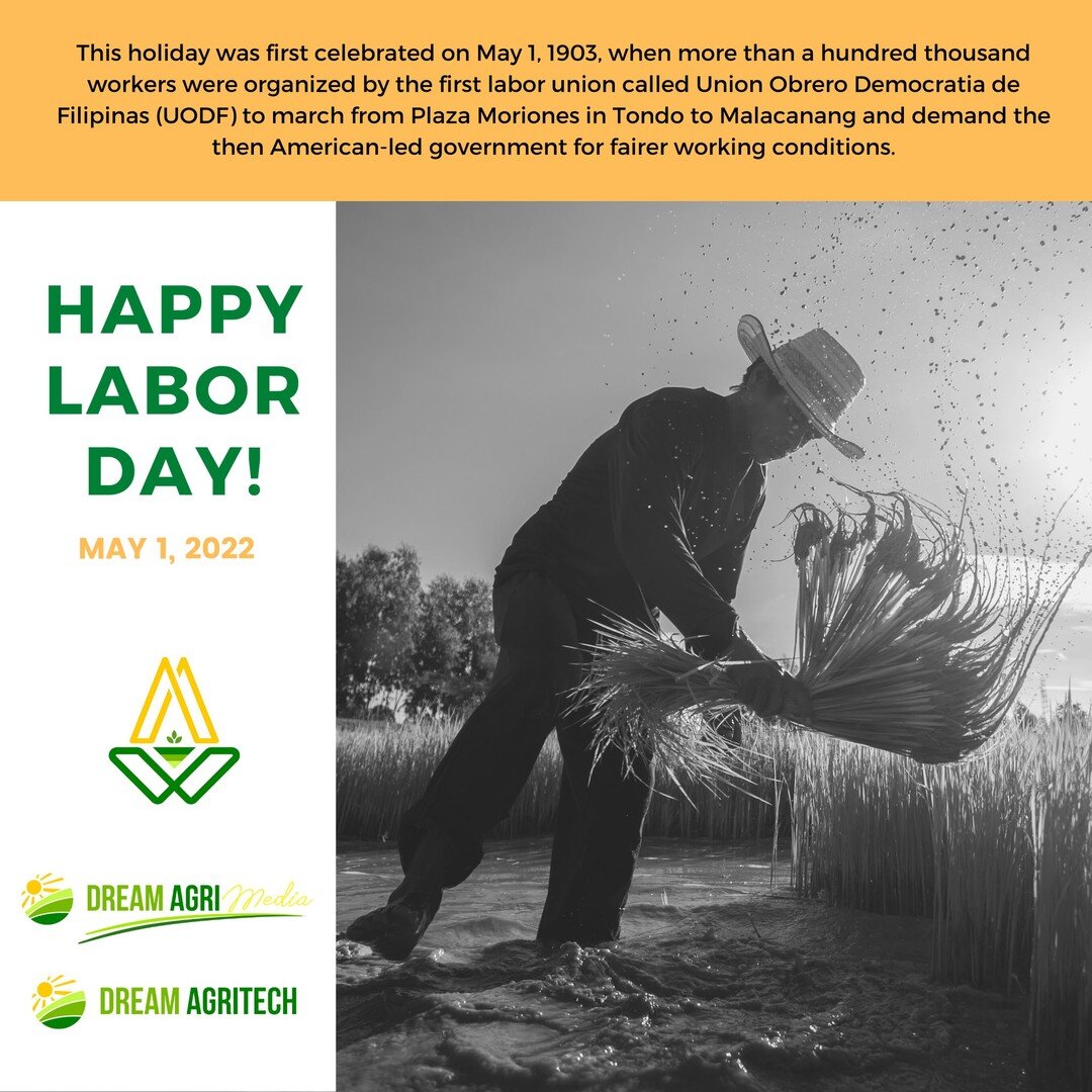 Pagpupugay sa 9,750,000 Pilipinong nagtatrabaho sa sektor ng Agrikultura!  #labordayweekend #laborday #philippines