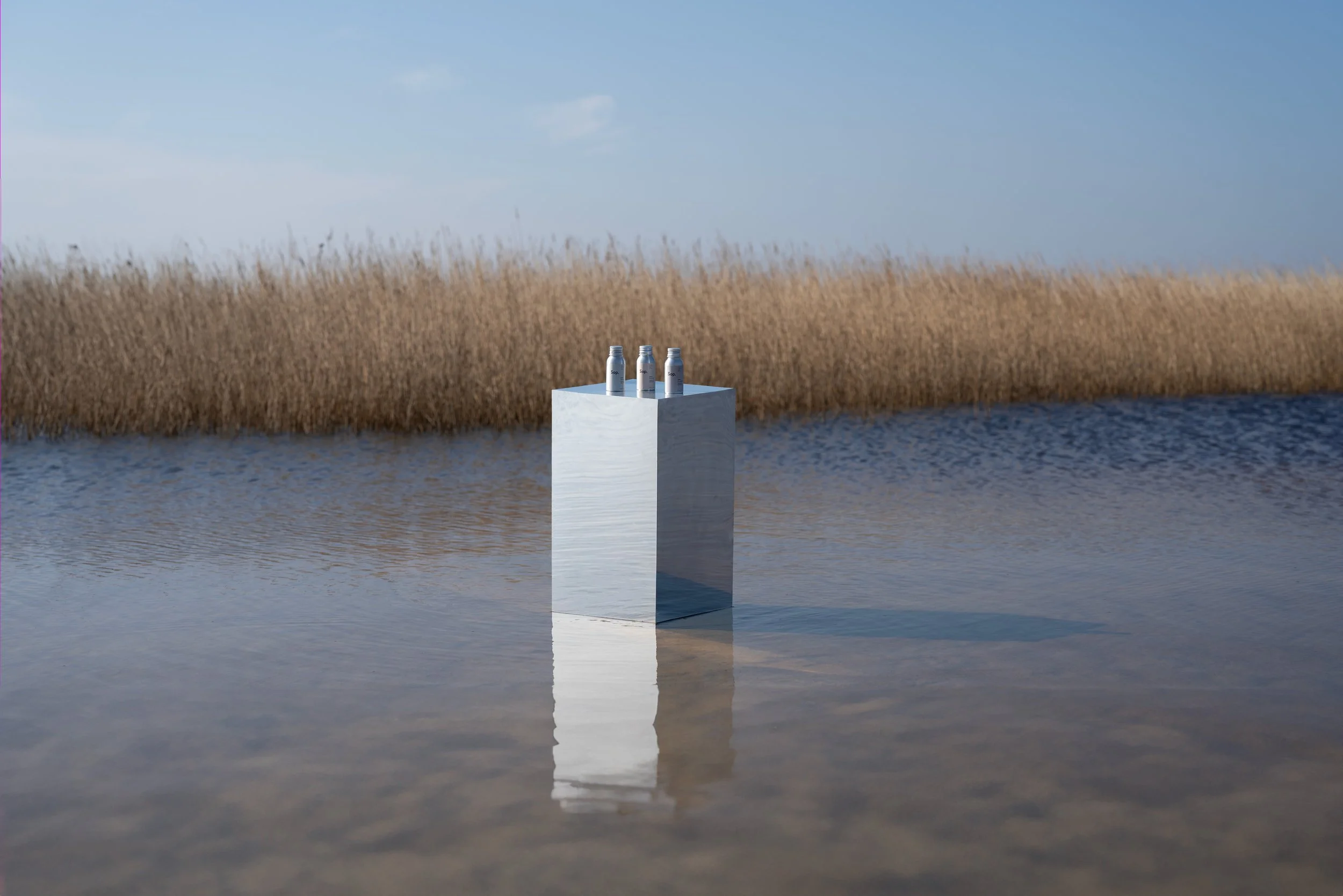 1. Sop-Reeds-Covheithe.jpg