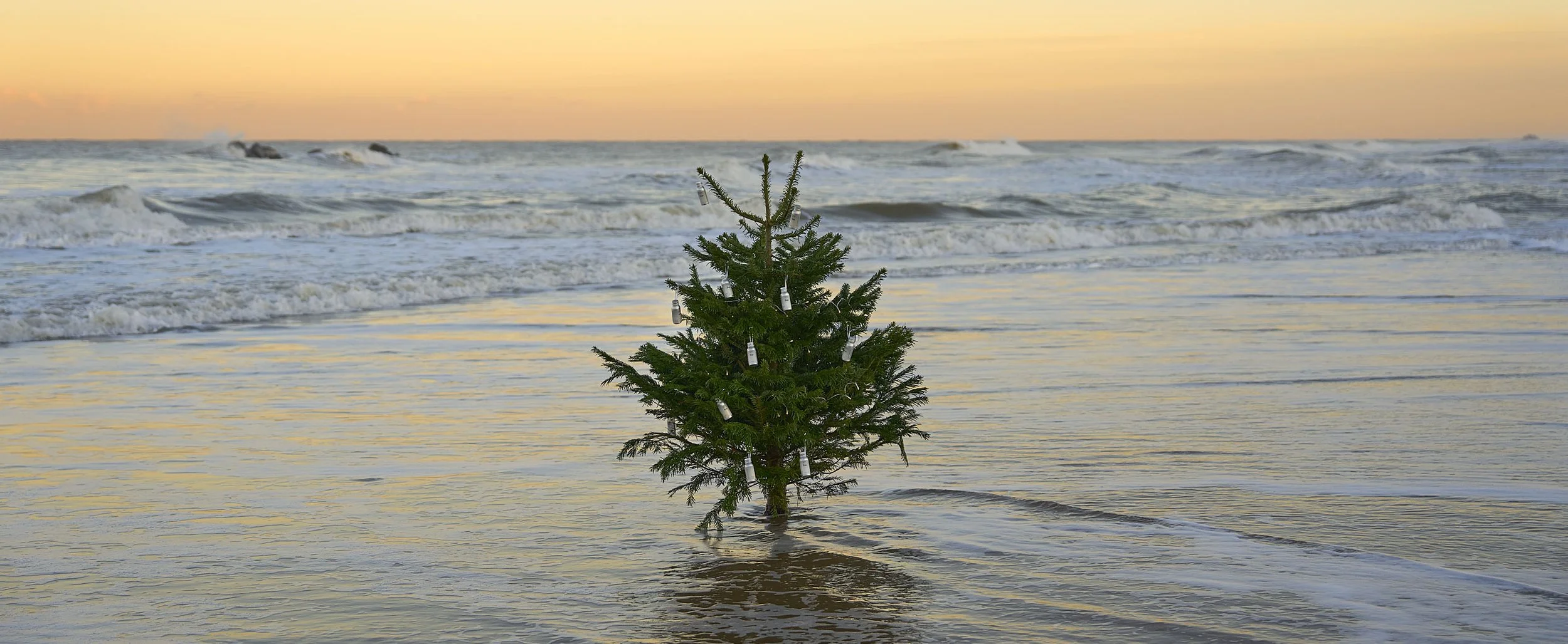 Sop-Waxham-Christmas-Sea.jpg