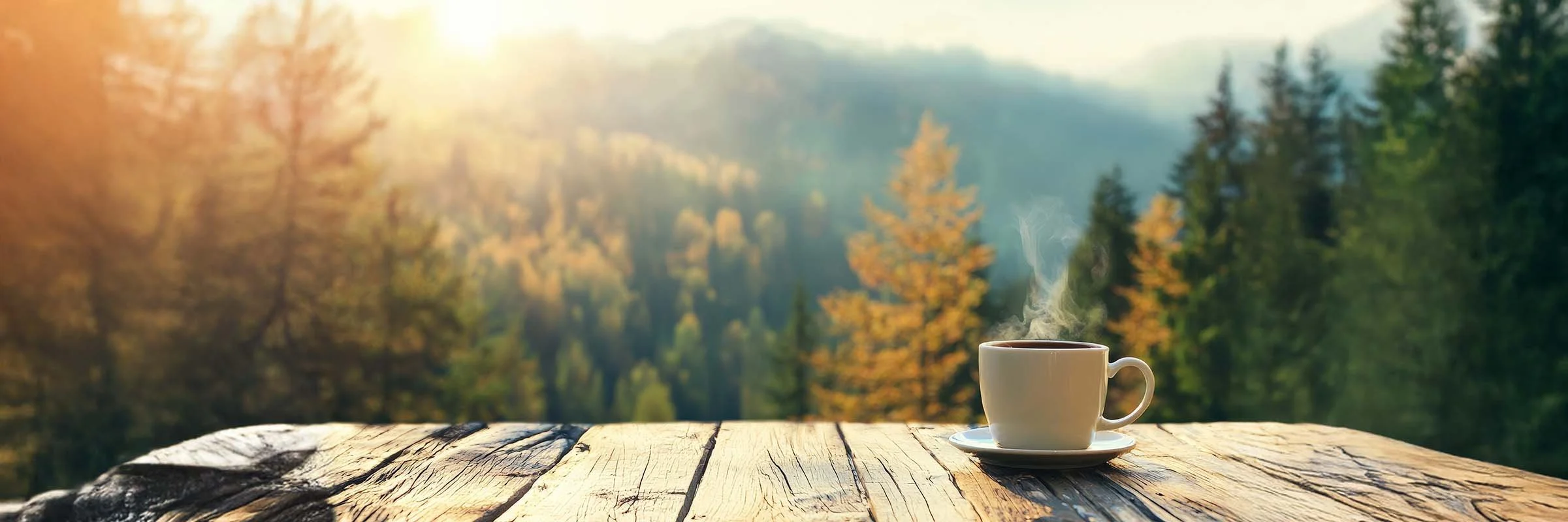 Banner Forest & Cup.jpg