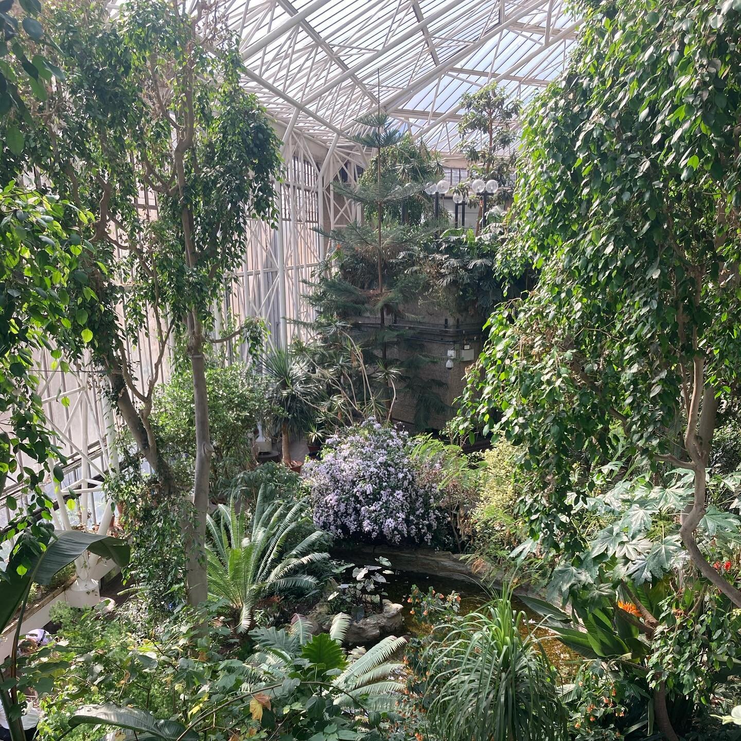 Brutalist forest bathing @barbicancentre 💚