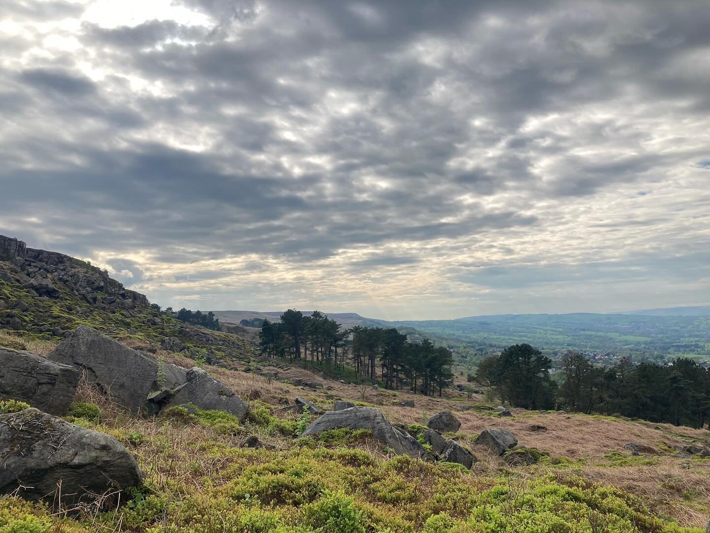 Ilkley Moor at its finest 💚🤎💜