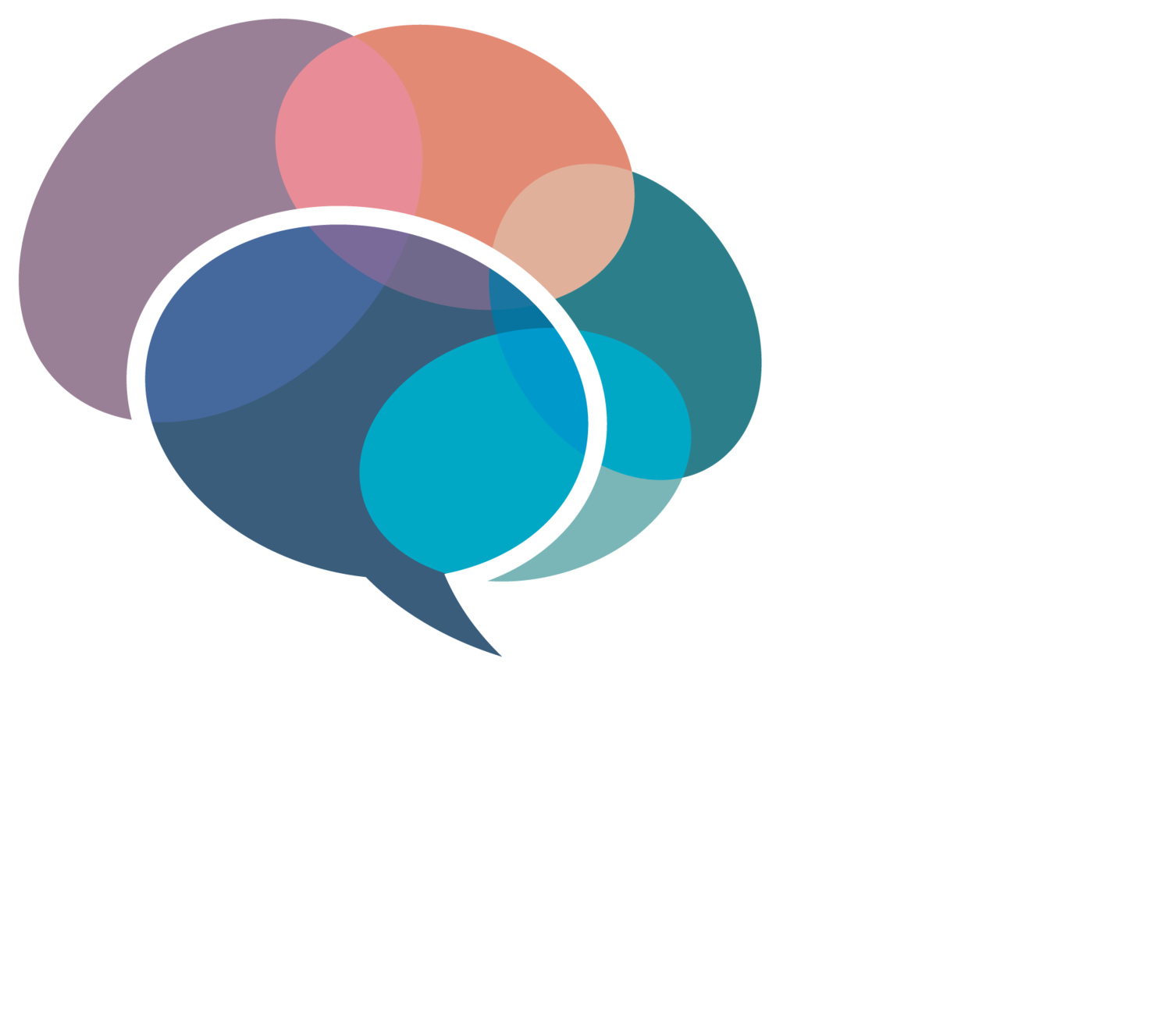 The Speech Group