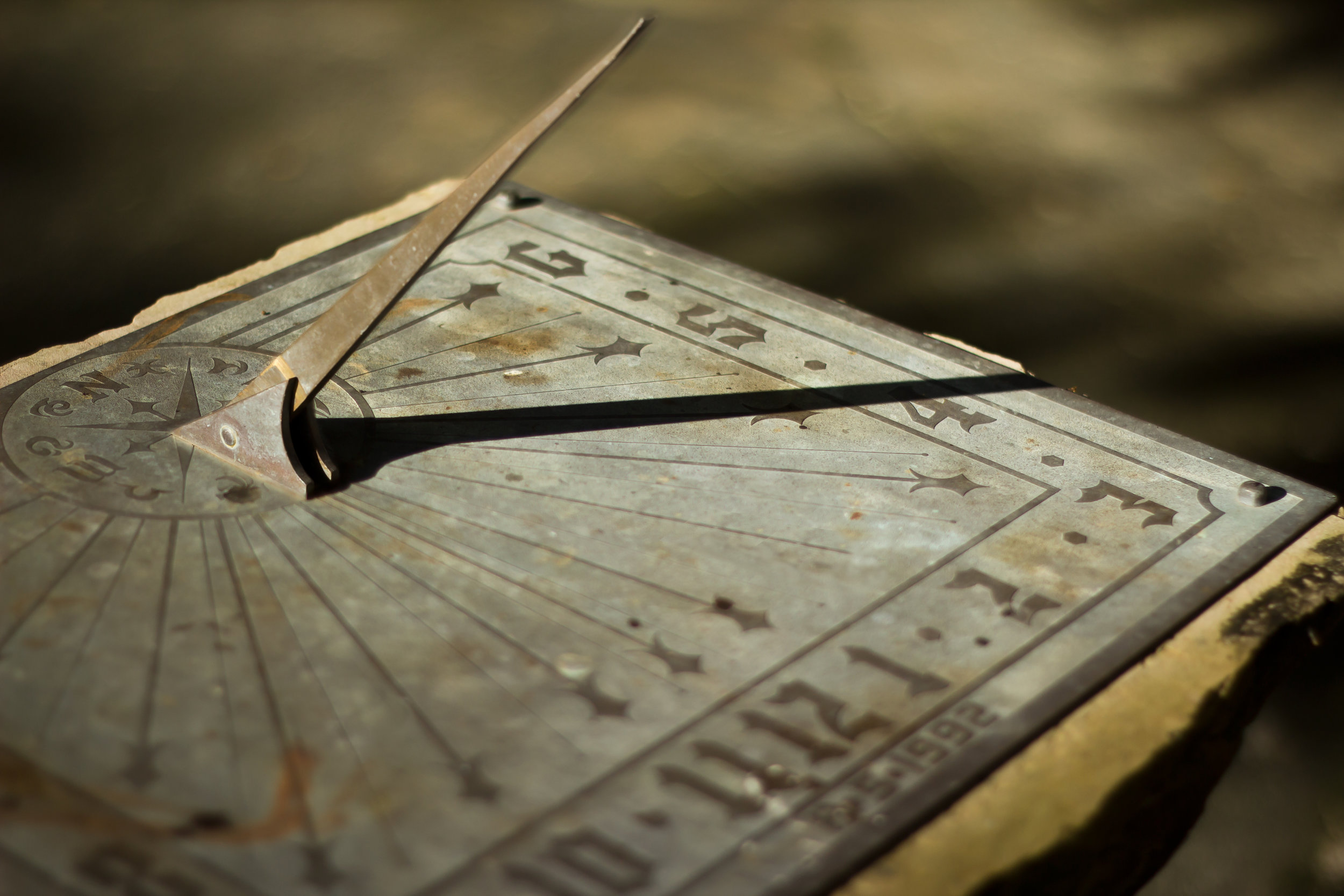 AdobeStock_88862824.jpeg