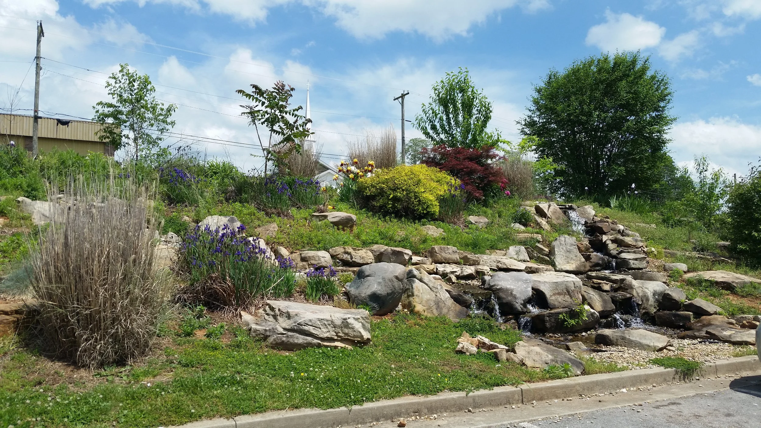 20160510_143757 (2).jpg