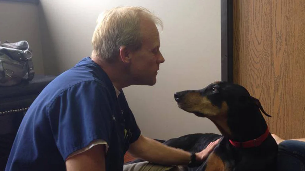 dr shepherd vet