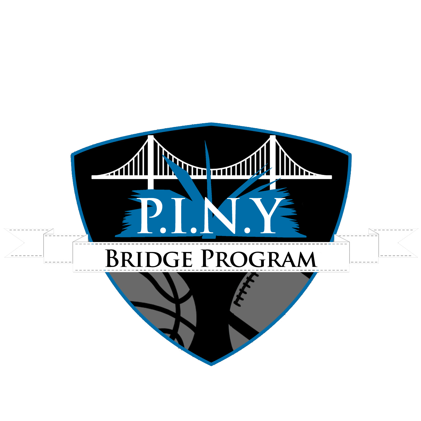 BRIDGE PROGRAM