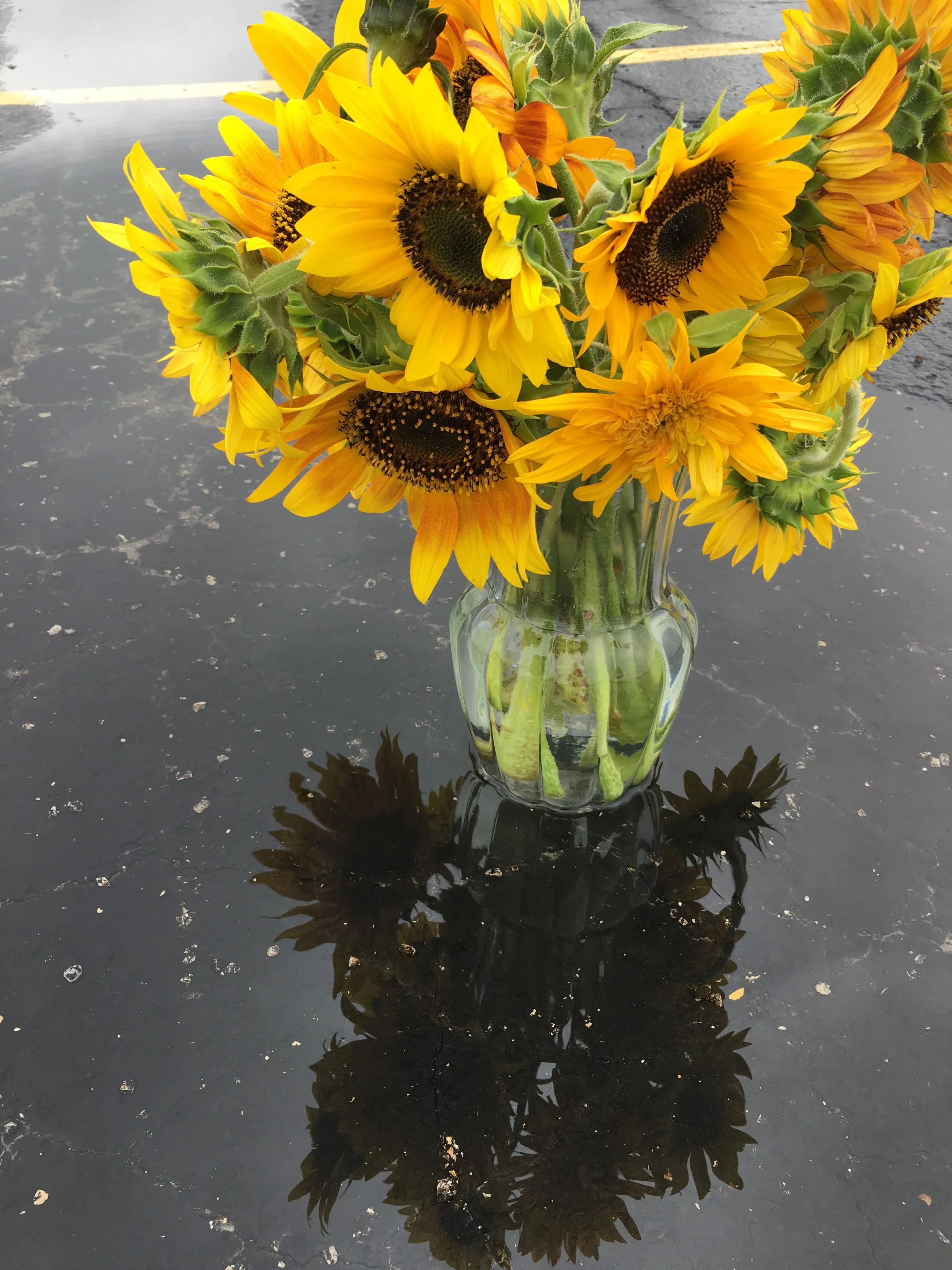 Sunshine on a rainy day.