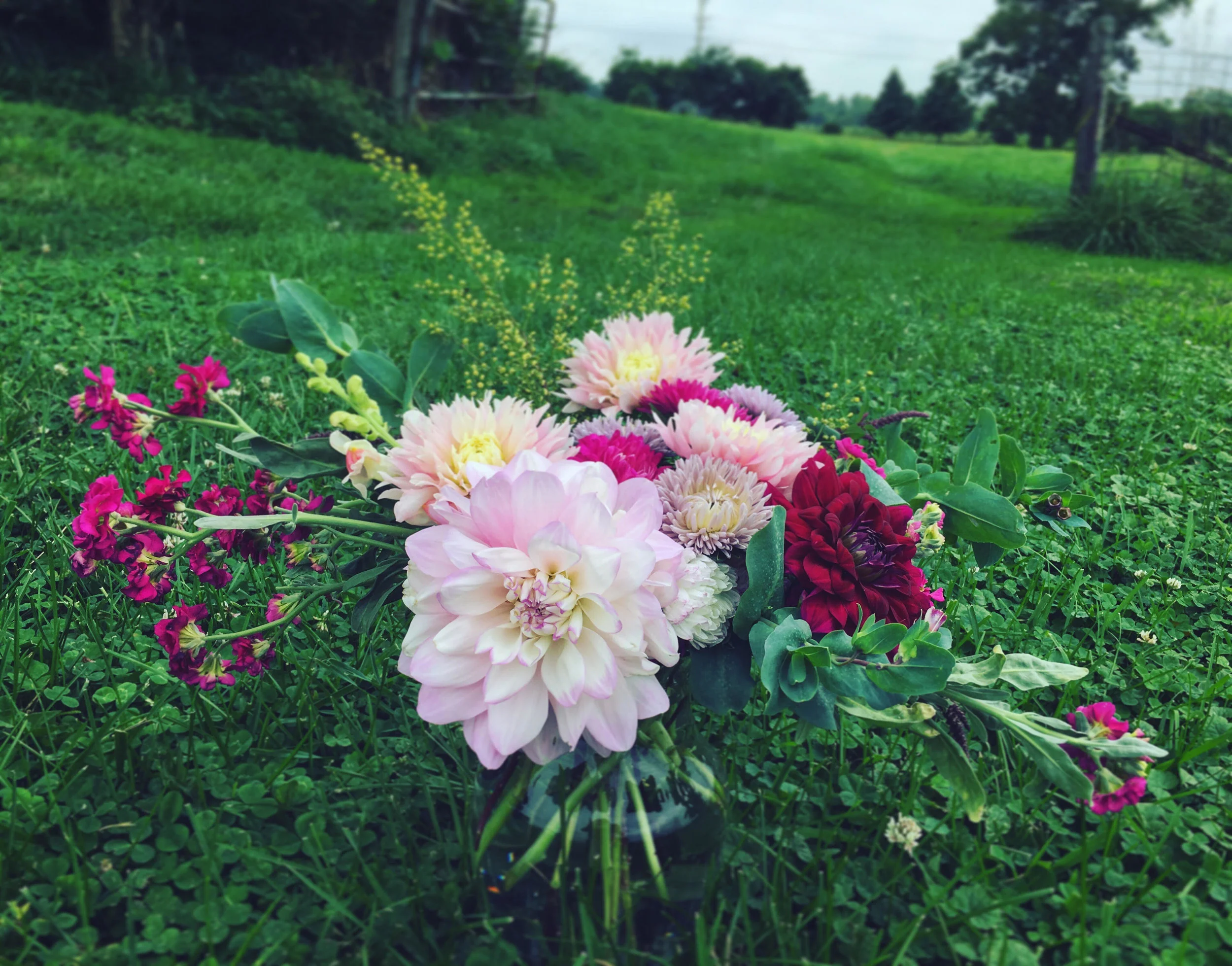 9.1.19 asters dahlias bouquet.jpg