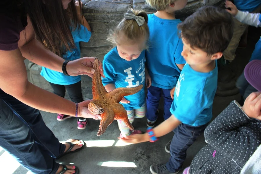 03Mar28 09 overhead shot of Val showing kids sea star.JPG