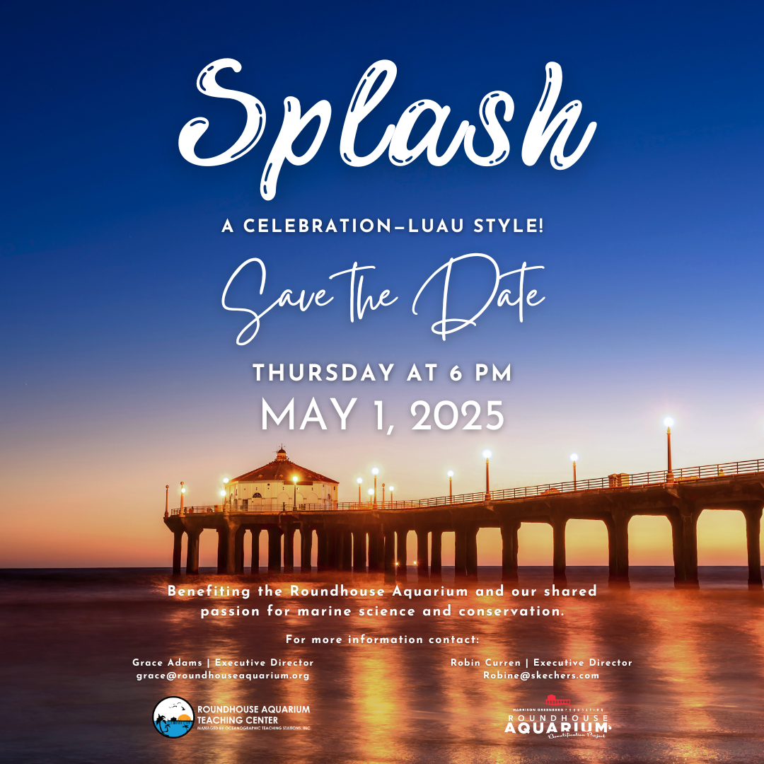 Roundhouse Aquarium: Splash 2025