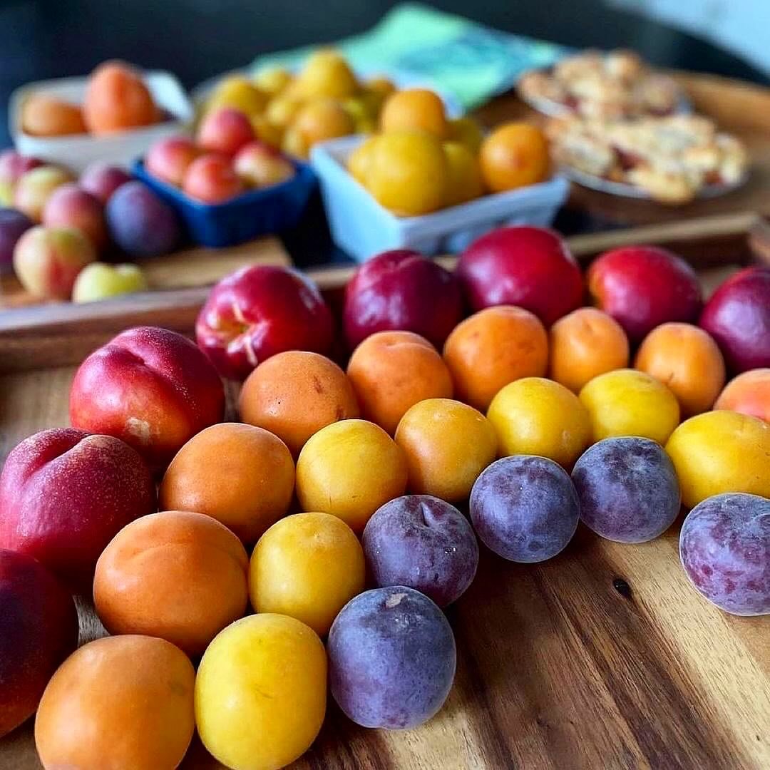 🌈Taste the rainbow, summer fruit in abundance! Thank you @arnettfarms for sharing 🍑 ⁠
⁠
📸: @arnettfarms⁠
⁠
#DowntownManhattanBeach #MBLocalLove #MBFarmersMarket #PrideMonth #SupportLocal #ArnettFarms #LoveInSeason #FarmFreshAndProud