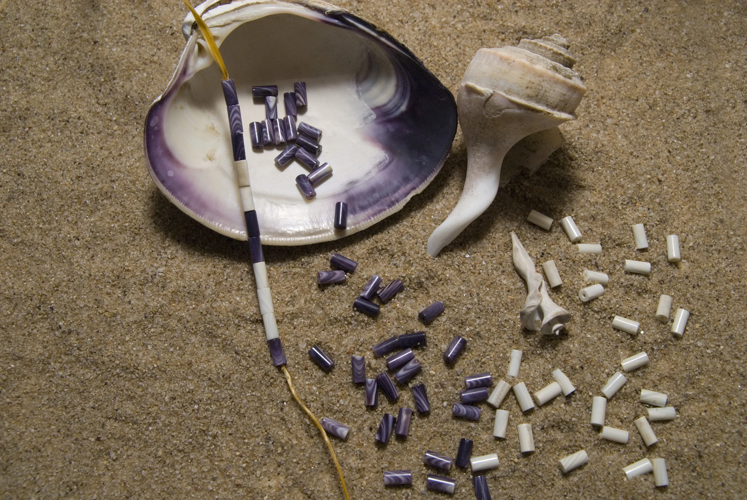 wampum_large.jpg