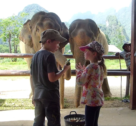 DECISION TIME: WHICH ELEPHANT GETS THE TAMARIND?