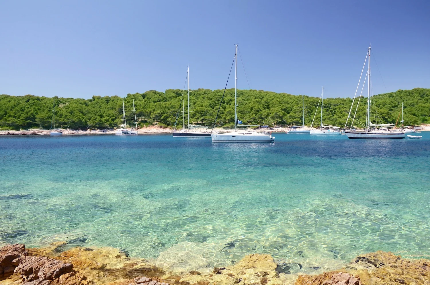 YACHTS MOORED UP