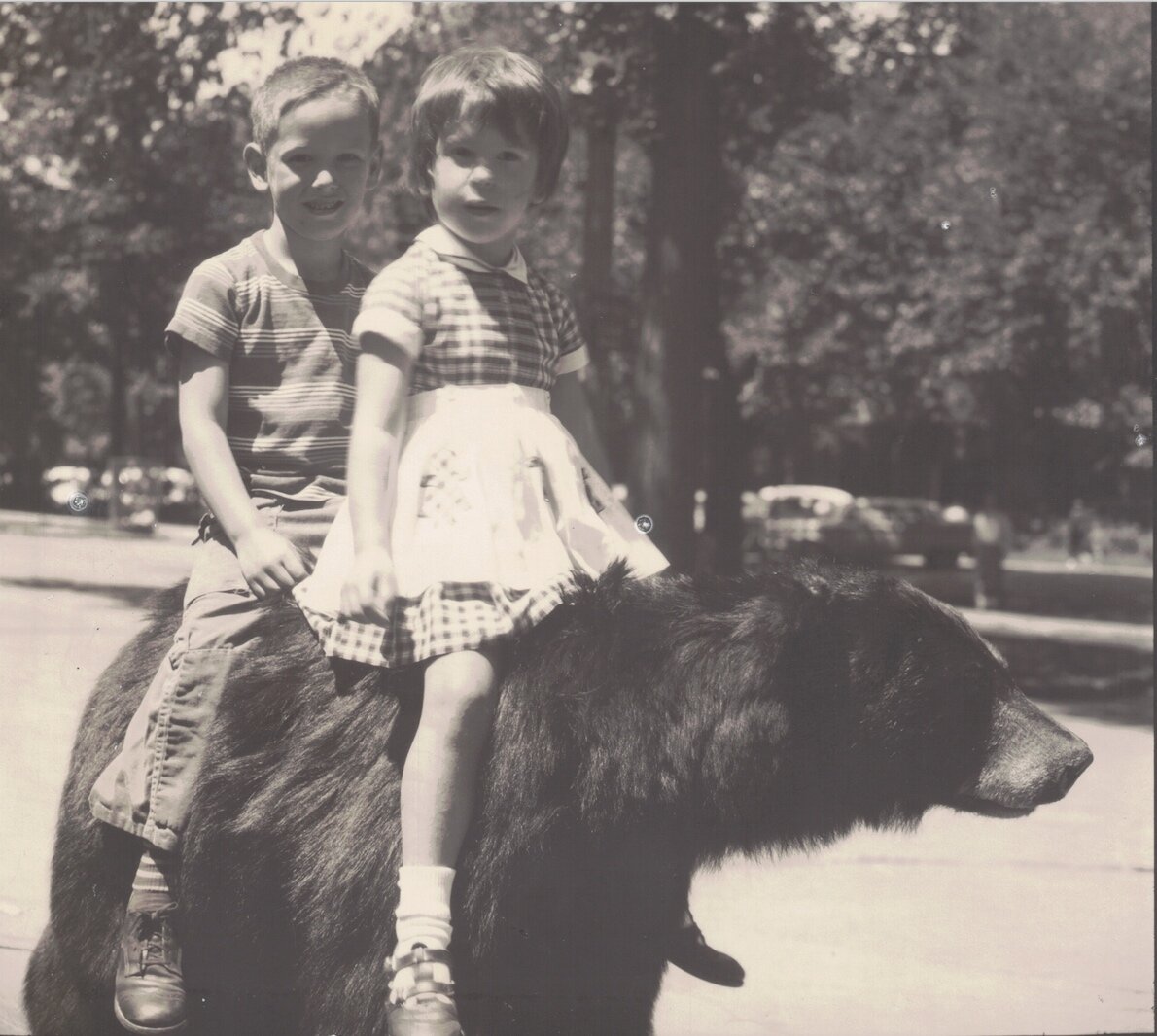 Jumping into the Deep End in Women Writers, Women's Books