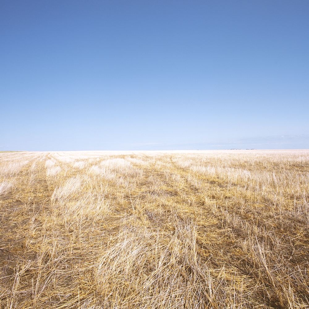 Scenic, South Dakota