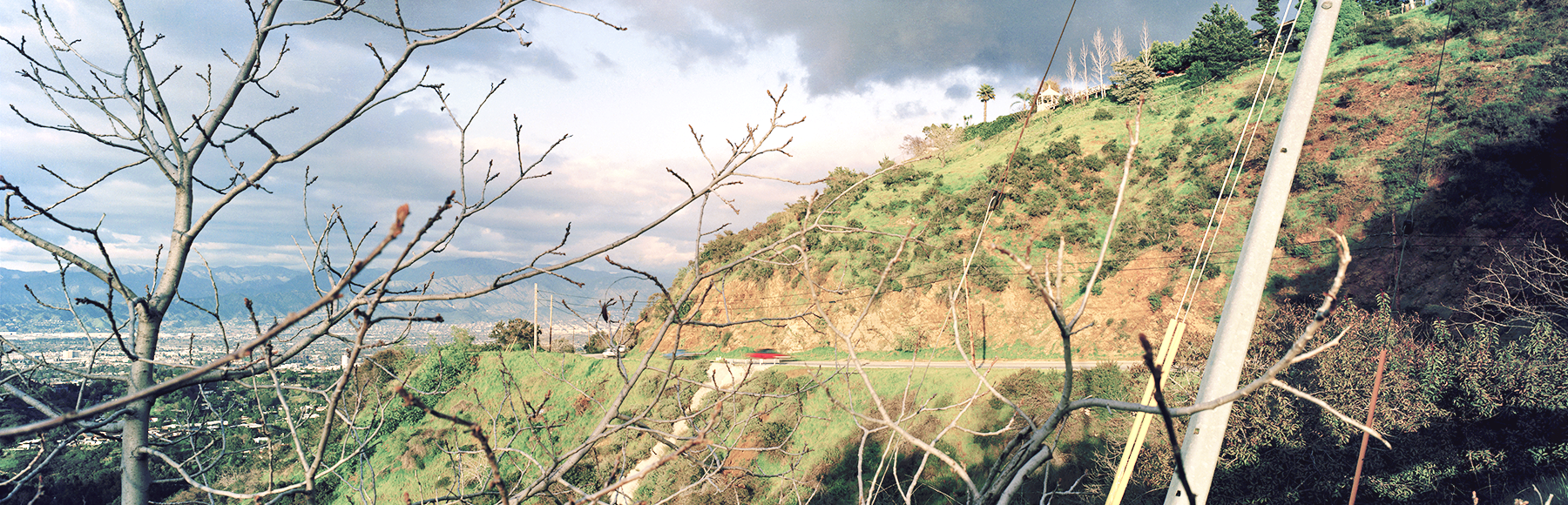 Near Skyline Drive, Los Angeles