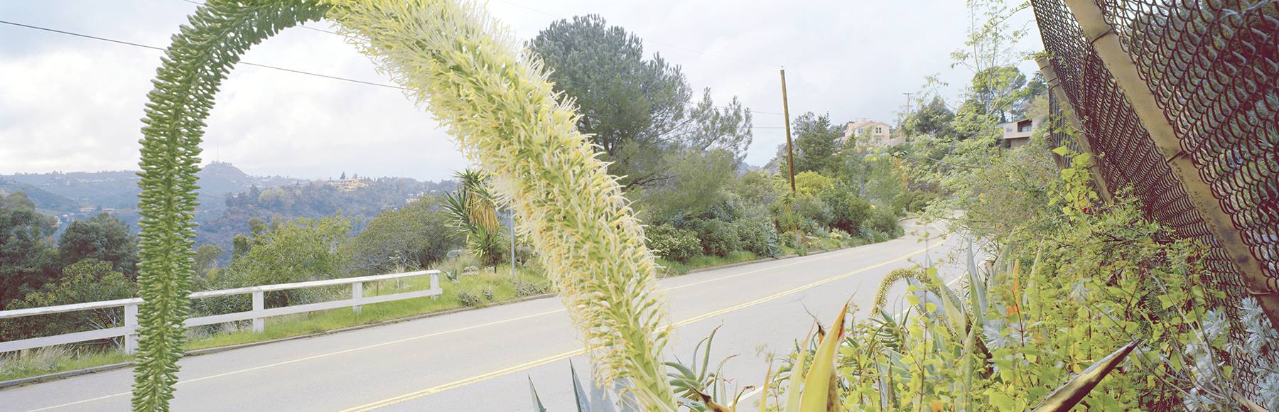 At Runyan Canyon, Los Angeles