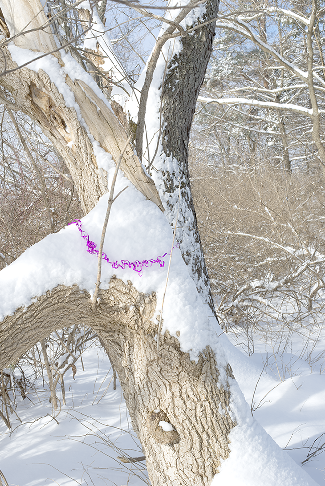 KarenHalversonIntoTheWoods02202015_2658.png