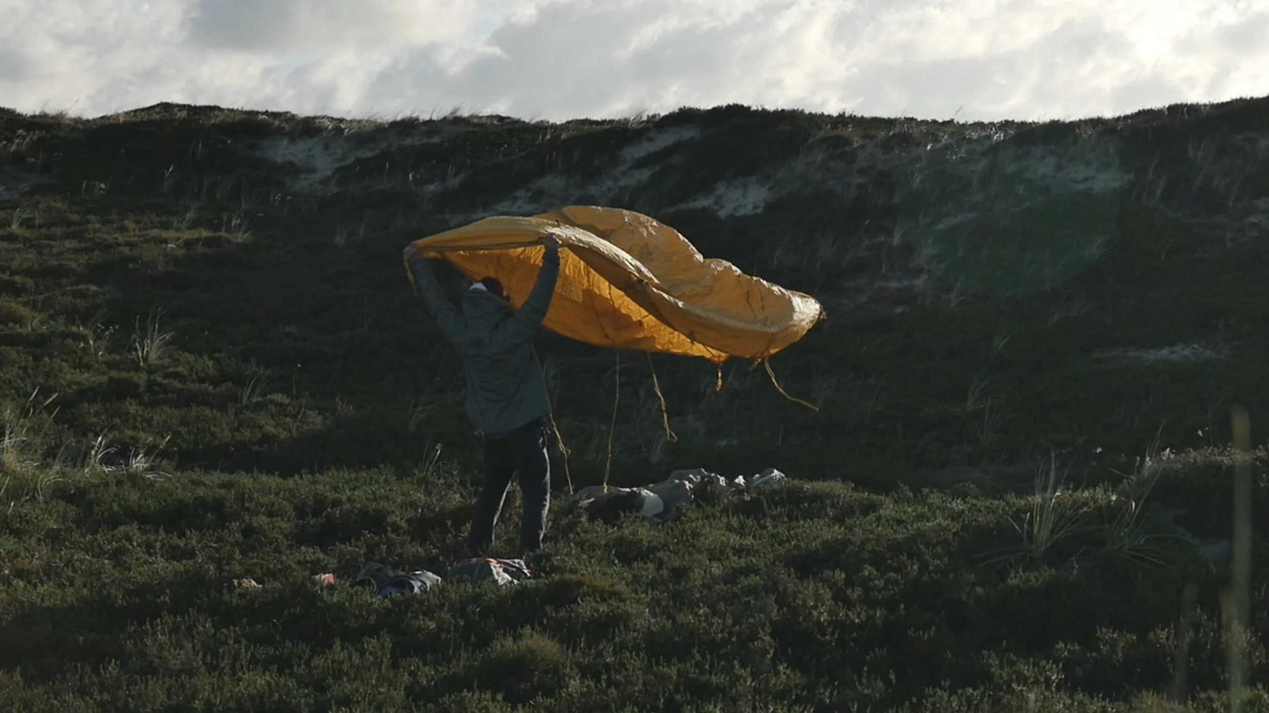 surf01.jpg
