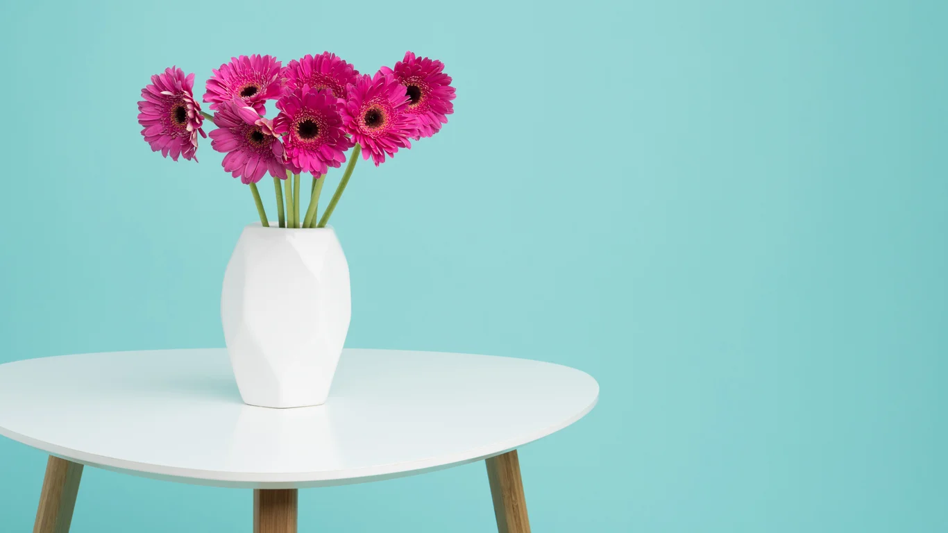 Gerber daisy on table.jpg