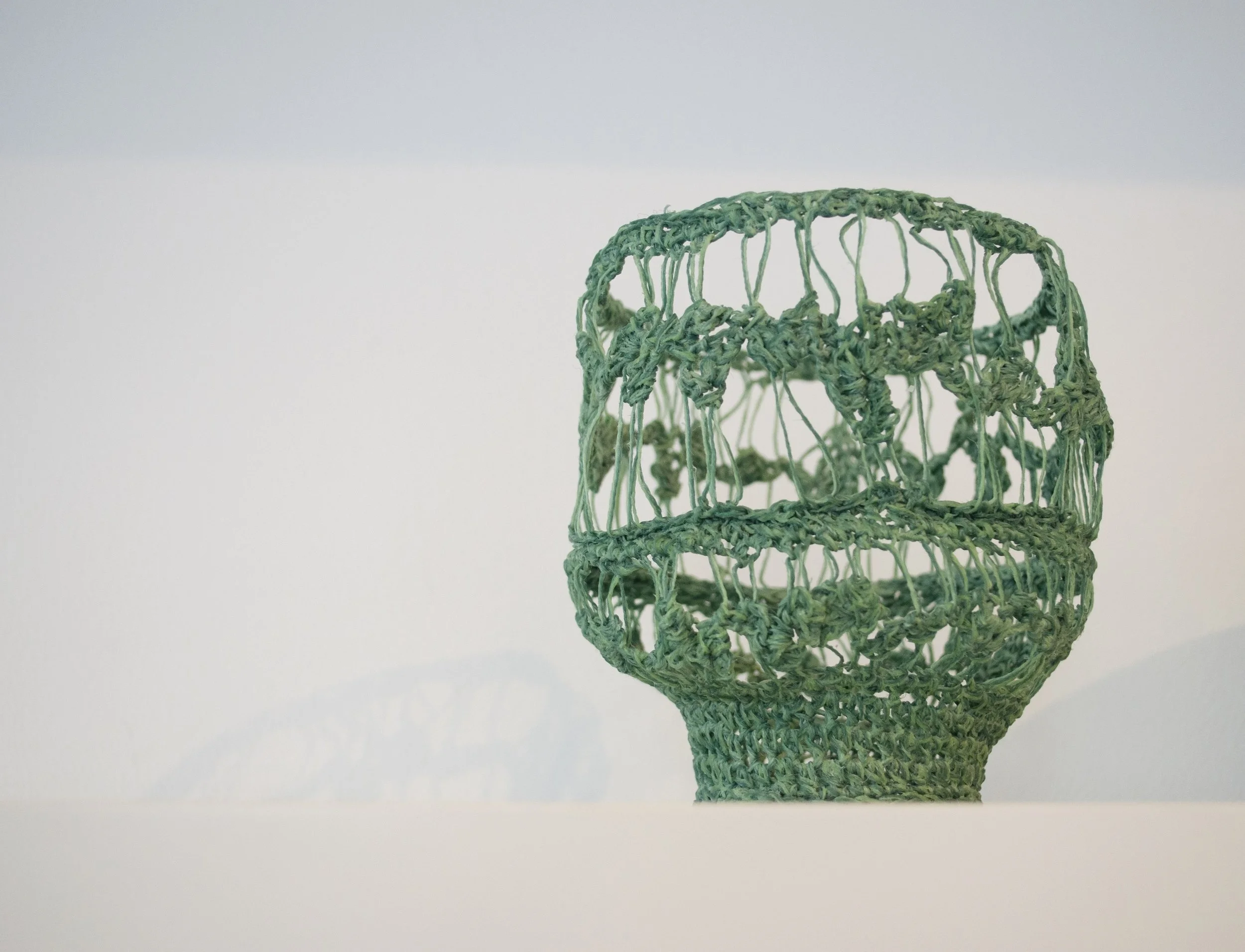 grønkrukke_2024_johnstad kopi.jpeg